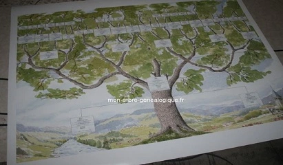 arbre genealogique