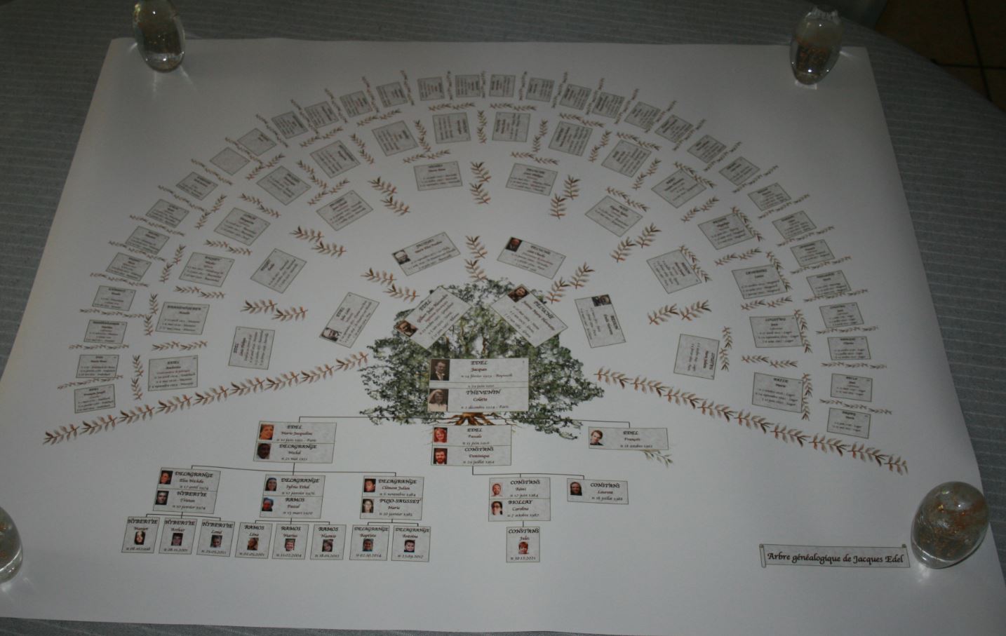 Arbre genealogique