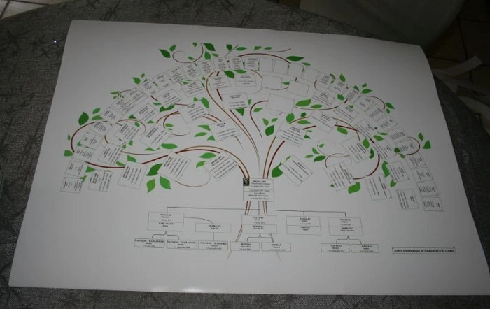Arbre exemple