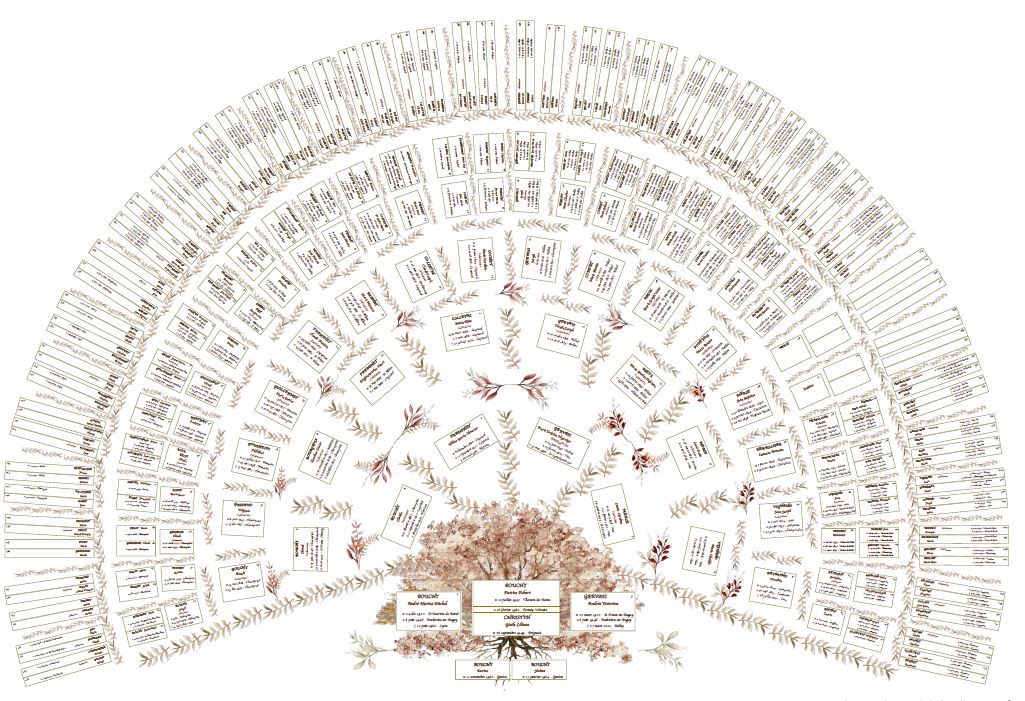 arbre genealogique