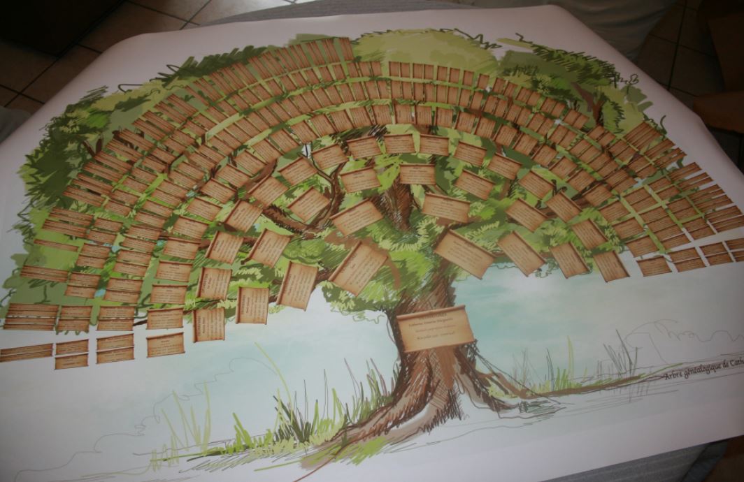 arbre genealogique